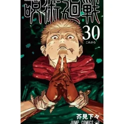 Shueisha Books|Jujutsu Kaisen*Jujutsu Kaisen 30 Comics JAPAN OFFICIAL
