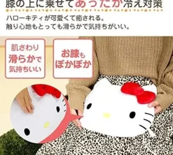 SIS Hello Kitty USB Power Heating Pad Warm Cushion JAPAN OFFICIAL