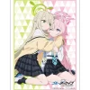 Bushiroad Sleeve Collection HG Blue Archive Hoshino Takanashi & Nonomi Izayoi Vol.4912