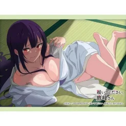 Bushiroad Sleeve Collection HG Please Put Them On, Takamine-san Takane Takamine Vol.4839