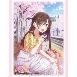 Bushiroad Sleeve Collection HG Rent-A-Girlfriend Chizuru Mizuhara Date ver. vol.2 Vol.4914