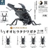 SO-TA Figure*Animalier Collection Dorcus Titanus 4Pack BOX 1/1 Figure JAPAN OFFICIAL