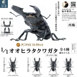 SO-TA Figure*Animalier Collection Dorcus Titanus 4Pack BOX 1/1 Figure JAPAN OFFICIAL