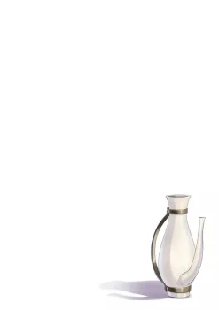 KADOKAWA Spice and Wolf Collector's Edition vol.5 Comics JAPAN OFFICIAL