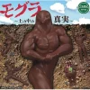 Tamakyu Mole The Truth in the Soil Set of 5 Figure Capsule Toy JAPAN OFFICIAL
