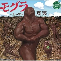 Tamakyu Mole The Truth in the Soil Set of 5 Figure Capsule Toy JAPAN OFFICIAL
