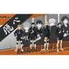 TSUKINAGI Rubber Desk Mat Collection Haikyuu!! Karasuno High School JAPAN