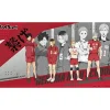 TSUKINAGI Other Toys & Hobbies*Rubber Desk Mat Collection Haikyuu!! Nekoma High School JAPAN